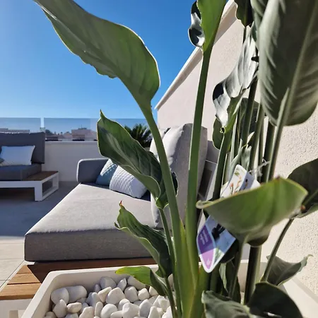 Apartment Penthouse Prestigio Alicante