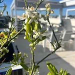 Appartamento Penthouse Prestigio *