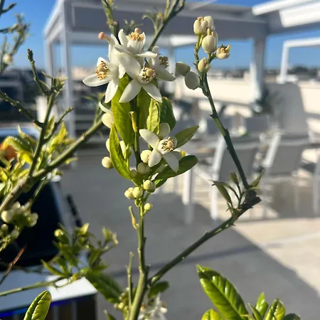 דירה Penthouse Prestigio *